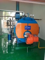 20 ton wns oil gas fired steam boiler gas boiler steam generator boiler parts