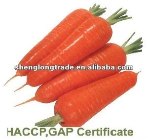 2012 new crop chinese fresh red carrot