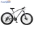 Import 2016 hot sale fashion bike snowmobile mountain bike Fat tire bicycle from China