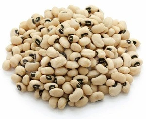 2016 new crop white cowpea/black eye bean (vigna beans)