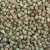 Import 2017crop good quality hulled buckwheat from China