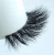 Import 2019 free sample best selling 3d real mink false eyelashes for wholesale from China