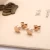 Import 2019 Ip Gold Plating Cheap Wholesale Fashion Stainless Steel Jewelry Stud Earring For Woman from China