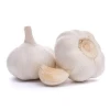2020 New crop fresh white garlic vegetables and fresh white garlic