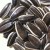 Import 2020 NEW CROP YELLOW RIVER SUNFLOWER SEEDS 5009 from China