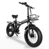 2021 Aluminum Alloy Factory City Public Sharing Electric Bike Bicycle 48v750w15Ah For Adults