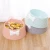 Import 2021 New deepening leak-proof Dog Bowl INS style creative bow diamond pattern Road cat bowl macaron color durable pet bowl from China