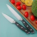 2pcs High Quality ABS Handle Fruit Paring Knife and Utility Knife Set