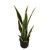 Import 50cm 75cm 90cm indoor ornamental artificial yellow snake plant sansevieria from China