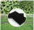 540x280mm 0.7mm 72cells Plastic Nursery tray Vegetable seed planting tray for greenhouse and home