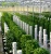 Import 6x6 Hydroponicstower garden growing system with 36 planters from China