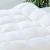 Import All-Season White Down Alternative Quilted Comforter - Corner Duvet Tabs - Hypoallergenic - Plush Microfiber Fill - Comforter from China