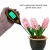 Import Amazon hot sell 4 In 1 Soil PH meter with Digital Display for gardon/4 In 1 Digital LCD Display Moisture Sunlight Soil Sunlight from China