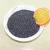 Import Anthracite Coal Filter Media from China