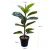 Import Artificial Ficus Microcarpa Bonsai from China