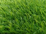Artificial Grass Mat / Artificial Turf 15-60mm