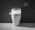 Import Automatic Open-close Sensor Integrated Smart Spray Toilet ZJS-02B from China