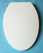 Bathroom design toilet seat bidets Adjustable Water Pressure, Ergonomically Designed