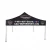 Import Beautiful Custom Durable Use Wholesale Trade Show Tent from China