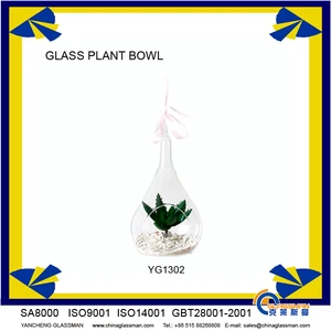 Beautiful decorative glass plant vase YGF1302