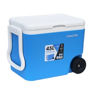 Beer Can Drinking Ice Cooler Box with Handle Blood Vaccine Plastic Low Price Promotion Mini Blue and Red 16l Carry Food