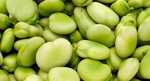 Best Price  Lima Beans
