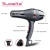 Import Best Professional Household Multifunction Hair Dryer from China