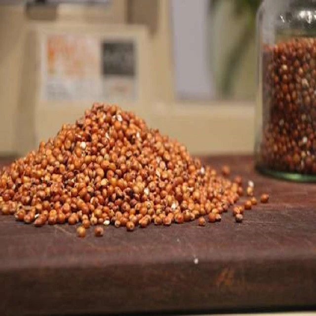 Best Quality Bulk Sorghum Red for Sale