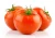 Import Best selling Fresh Vegetables from India from India
