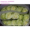 Best Wholesale Distributors Of The Highest Quality Fresh White Roses Cut Fresh Flowers Flower Bouquets For Weddings