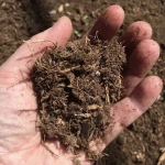 Ca:Mg:S soil conditioner