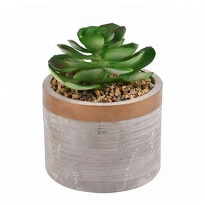 Ceramic Emulation Plant Pot with Stone Small Indoor Ceramic White Outdoor Plant Pots 4.3 inch Small Potted Plants
