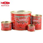 Cheap Price Canned Tomate Paste Supplier with OEM Brand22-24% 28-30% Double Concentrate Red Color Tomato Sauce