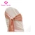 Import Cheap Spandex printed  pink organza chair sash Wedding Banquet from China