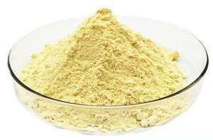 China Factory Top Quality Healthy Ginger Extract Capsules Ginger Root Extract 10% Powder