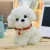 Import China Factory Wholesale Stuffed Animals Dog Poodle Plush Toy from China