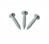 China Manufacturer Wholesale Precision Thread Stainless Steel Self Tapping Screw for Furniture Fixed