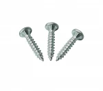 China Manufacturer Wholesale Precision Thread Stainless Steel Self Tapping Screw for Furniture Fixed