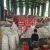 Import China natural normal white fresh garlic price from China