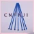Import CNPNJI Heavy Duty Purplish Color Self Locking Nylon 66 Cable Tie Manufacturer from China