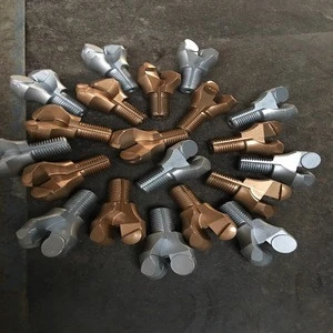 Coal Mining Machinery Parts Drilling Tools 2 Wings PDC Drill Bit