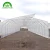 Import Cold frame green house single-span agricultural greenhouses/invernadero from China