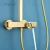 Import Commercial residential and hotel brushed gold large size top rainfall shower-set thermostatic shower bathing from China