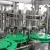 Complete Carbonated Soft Drink Production Line/Soda Glass Bottle Filling Machine