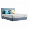 Crushed Velvet Durable Metal Hydraulic Upholstered Storage Latest Double Bed