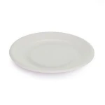 Custom Branded Sugar Cane Disposable Tableware Dish Plate