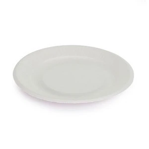 Custom Branded Sugar Cane Disposable Tableware Dish Plate