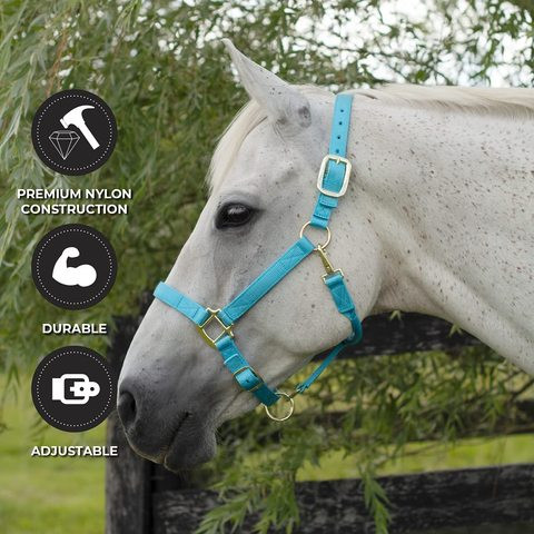 Custom Practical Simple Thickened Horse Halter Adjustable Nylon Horse Halter for Horses Riding Racing