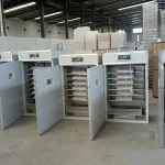 Customized egg hatcheries incubator machine/price incubator 5000 eggs chicken/turkey egg incubator