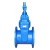 DIN3352 F4 Cast ductile Iron rubber disc Gate Valve Non Rising Stem Flange Type Low Pressure PN10 PN16 12inch China WRAS CE